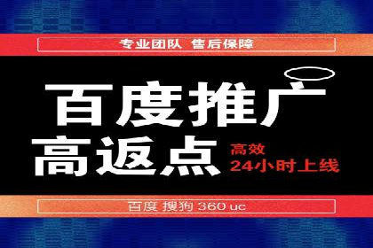 SEM搜索引擎优化策略解析与应用案例